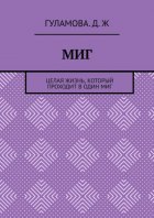 Миг. Целая жизнь, который проходит в один миг