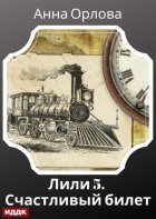 Лили. Дело 5. Счастливый билет