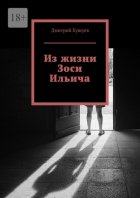 Из жизни Зоси Ильича