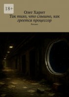 Так тихо, что слышно, как греется процессор. Рассказ
