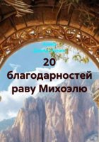 20 благодарностей раву Михоэлю