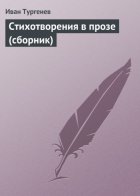 Стихотворения в прозе