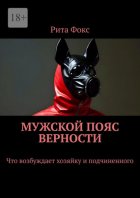Мужской пояс верности. Что возбуждает хозяйку и подчиненного
