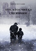 Тот, кто считал снежинки. Роман