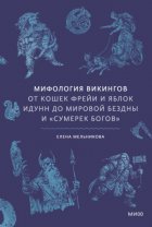 Мифология викингов. От кошек Фрейи и яблок Идунн до мировой бездны и «Сумерек богов»