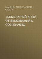 «Семь огней Х‑739: От выживания к созиданию