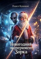 Новогодний эксперимент Зорка