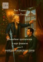 Рождественское пари. Серия «Волшебные приключения в мире финансов». Книга 3