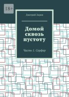 Домой сквозь пустоту. Часть 1. Серфер