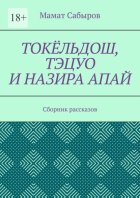 Токёльдош, Тэцуо и Назира апай. Сборник рассказов