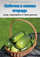 Кабачок в вашем огороде уход, подкормки и сбор урожая