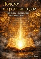 Почему мы родились здесь: вся правда о выборе души из древних текстов