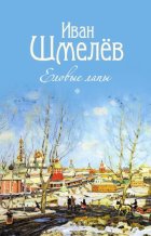 Еловые лапы