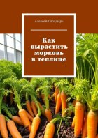 Как вырастить морковь в теплице