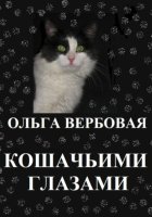Кошачьими глазами