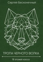 Тропа черного волка: 18 этажей хаоса
