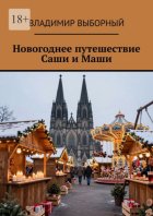 Новогоднее путешествие Саши и Маши