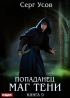 Попаданец. Маг Тени. Книга 9