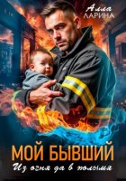 Мой бывший. Из огня да в полымя