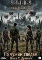 S-T-I-K-S По чужим следам. Книга 2. Дримтим