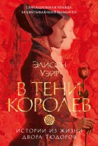 В тени королев. Истории из жизни двора Тюдоров