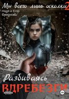 Мы всего лишь осколки: Разбиваясь вдребезги