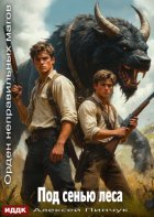 Орден неправильных магов. Книга 5. Под сенью леса