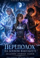Переполох на боевом факультете. Академии снежных эльфов