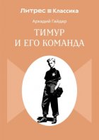 Тимур и его команда