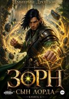 Зорн. Сын лорда. Книга 6