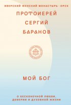 Мой Бог. О бесконечной Любви, доверии и духовной жизни