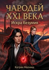 Чародей XXI века. Искра Безумия