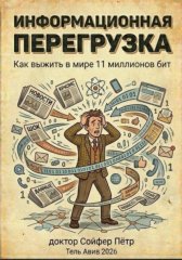 Информационная перегрузка