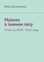 Музыка в зимнем лесу. Стихи за 2019-2022 годы