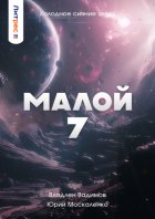 Малой 7